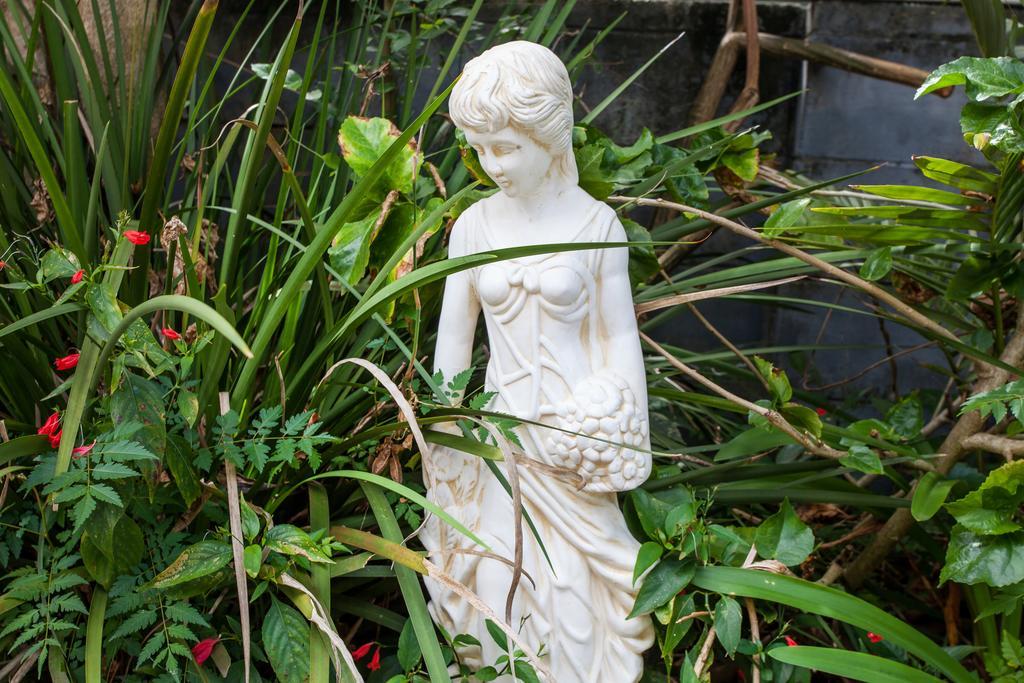 Elindale House Bed & Breakfast Lismore Exteriör bild